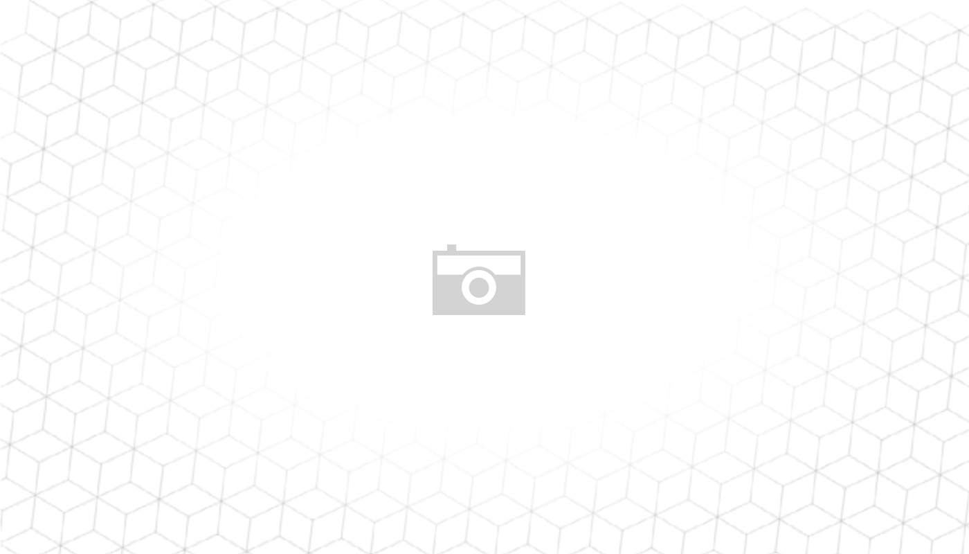 Comment créer un environnement stimulant pour vos rongeurs ?